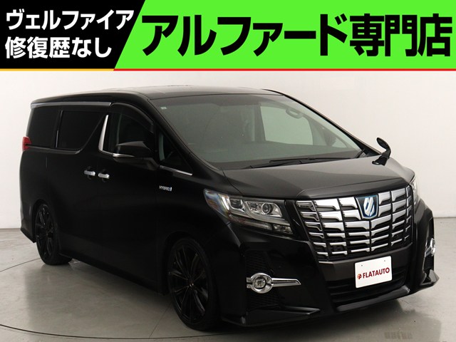 ＨＶＳＲ　禁煙車　９インチナビ　後席モニター　ローダウンカスタム