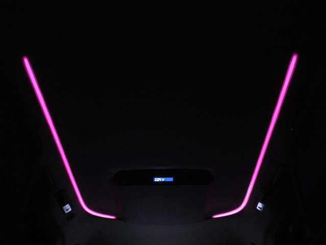 夜間に室内を照らしてくれるルームライトで
す