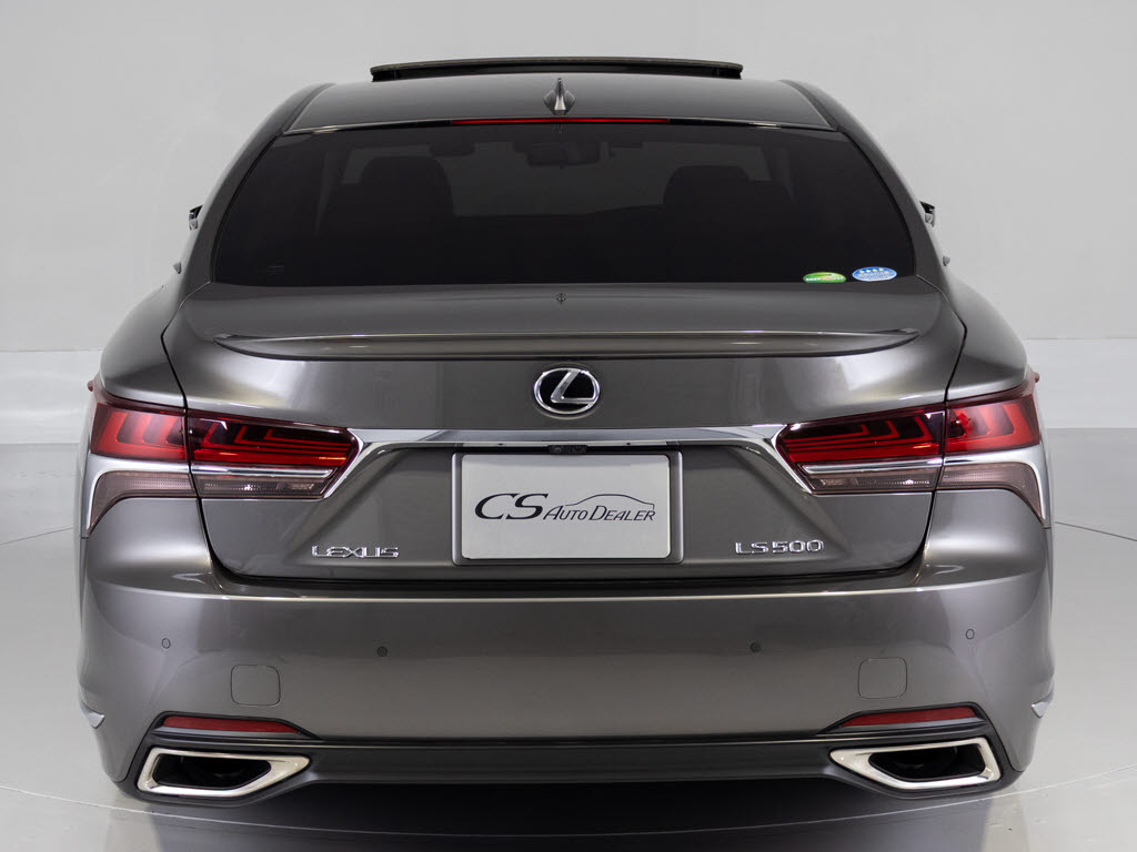 オプションボディカラーマンガンラスター！